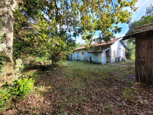 Offres de vente Maison Cazaux 33260